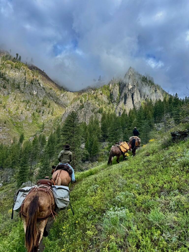 Building More Than Homes: How Client Relationships Shape the Experience